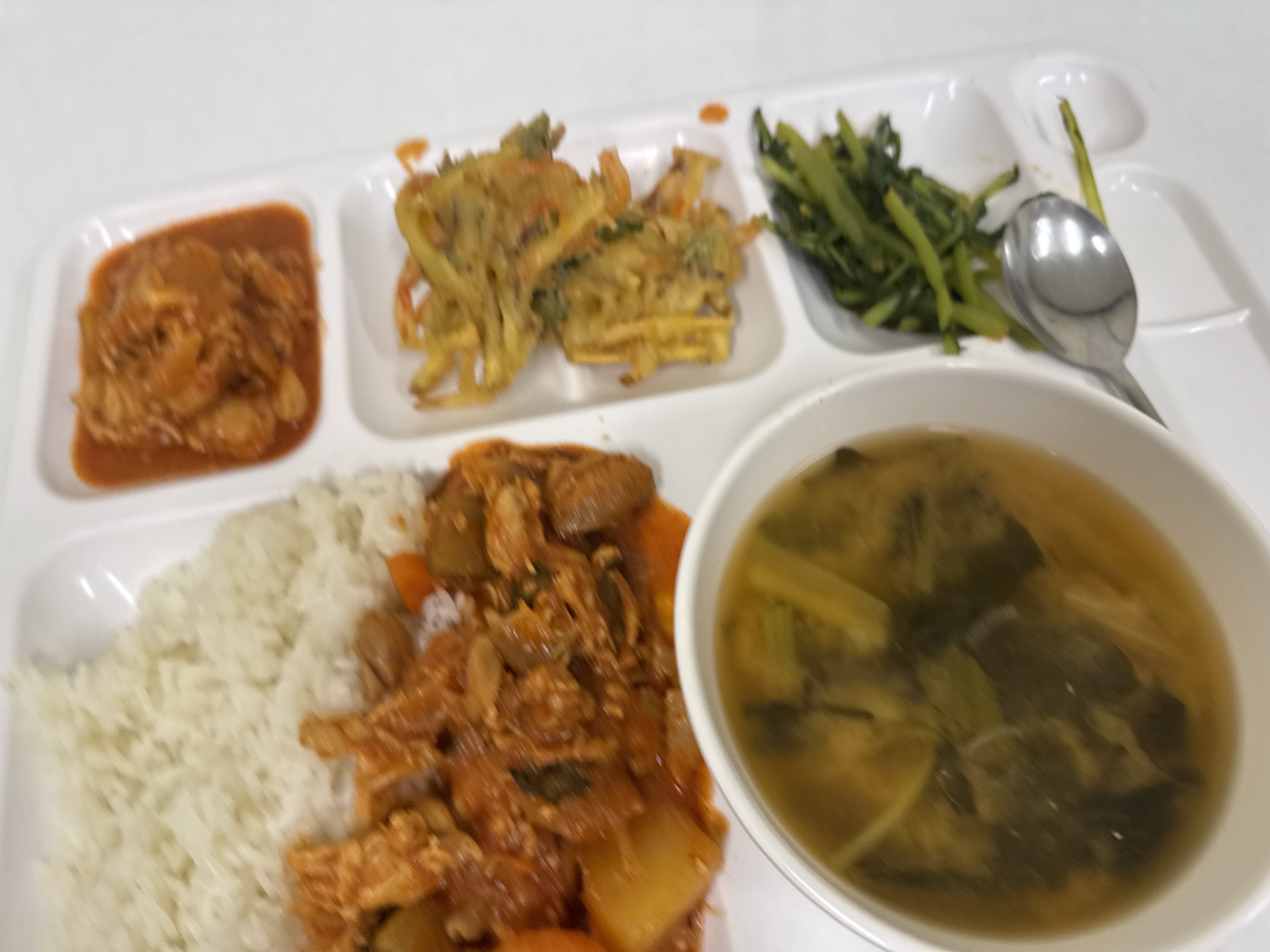 점심 사진