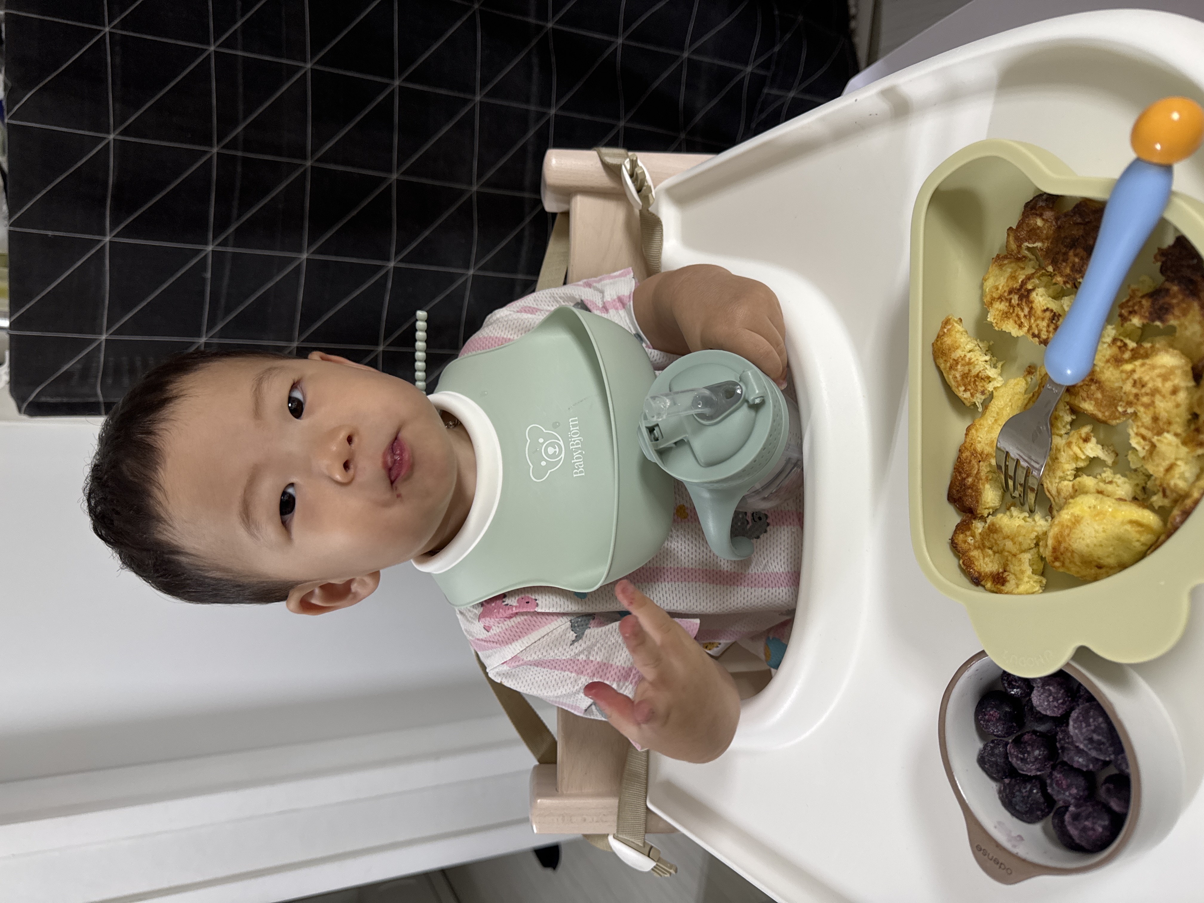 아침 사진